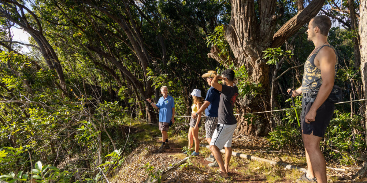 Oahu Hawaii Hiking Palehua Ridge Afternoon Hike