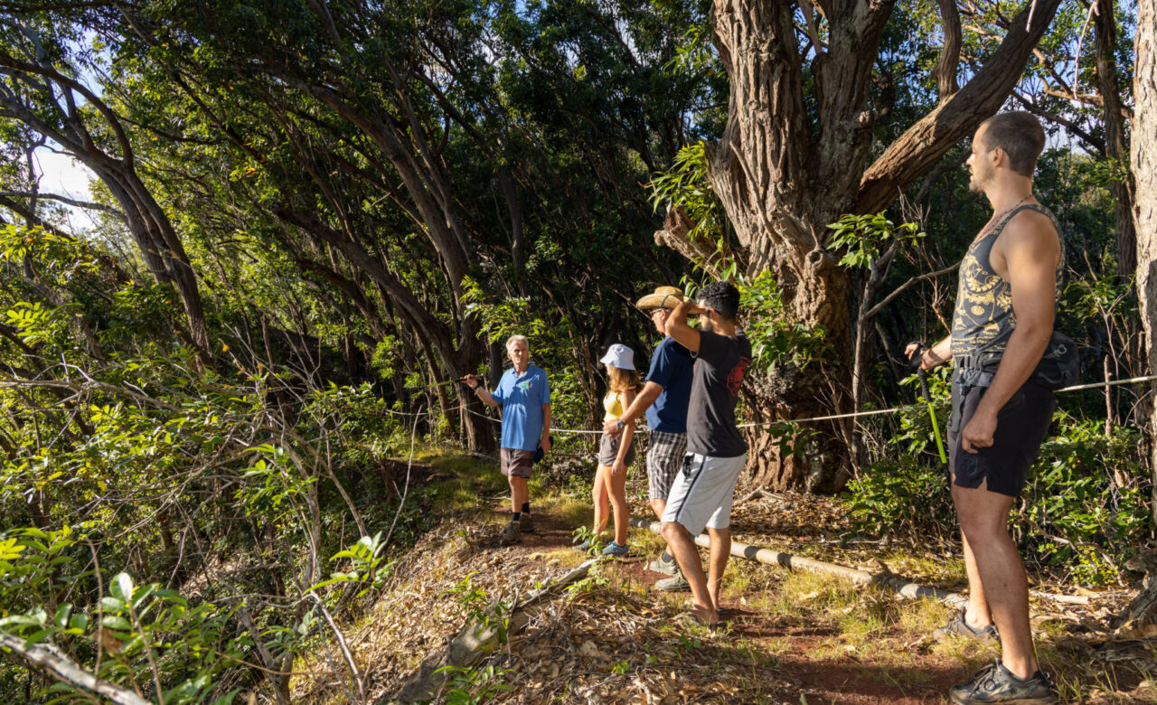 Oahu Hawaii Hiking Palehua Ridge Afternoon Hike
