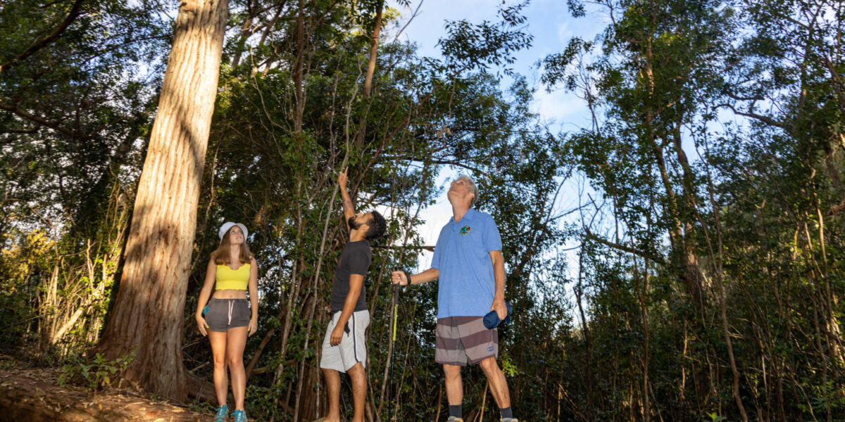Oahu Hawaii Hiking Palehua Ridge Afternoon Hike
