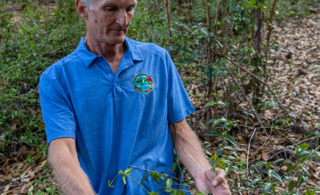 Bike Hawaii Tour Guide