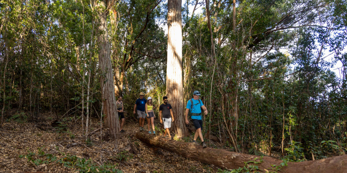 Oahu Hiking Tours