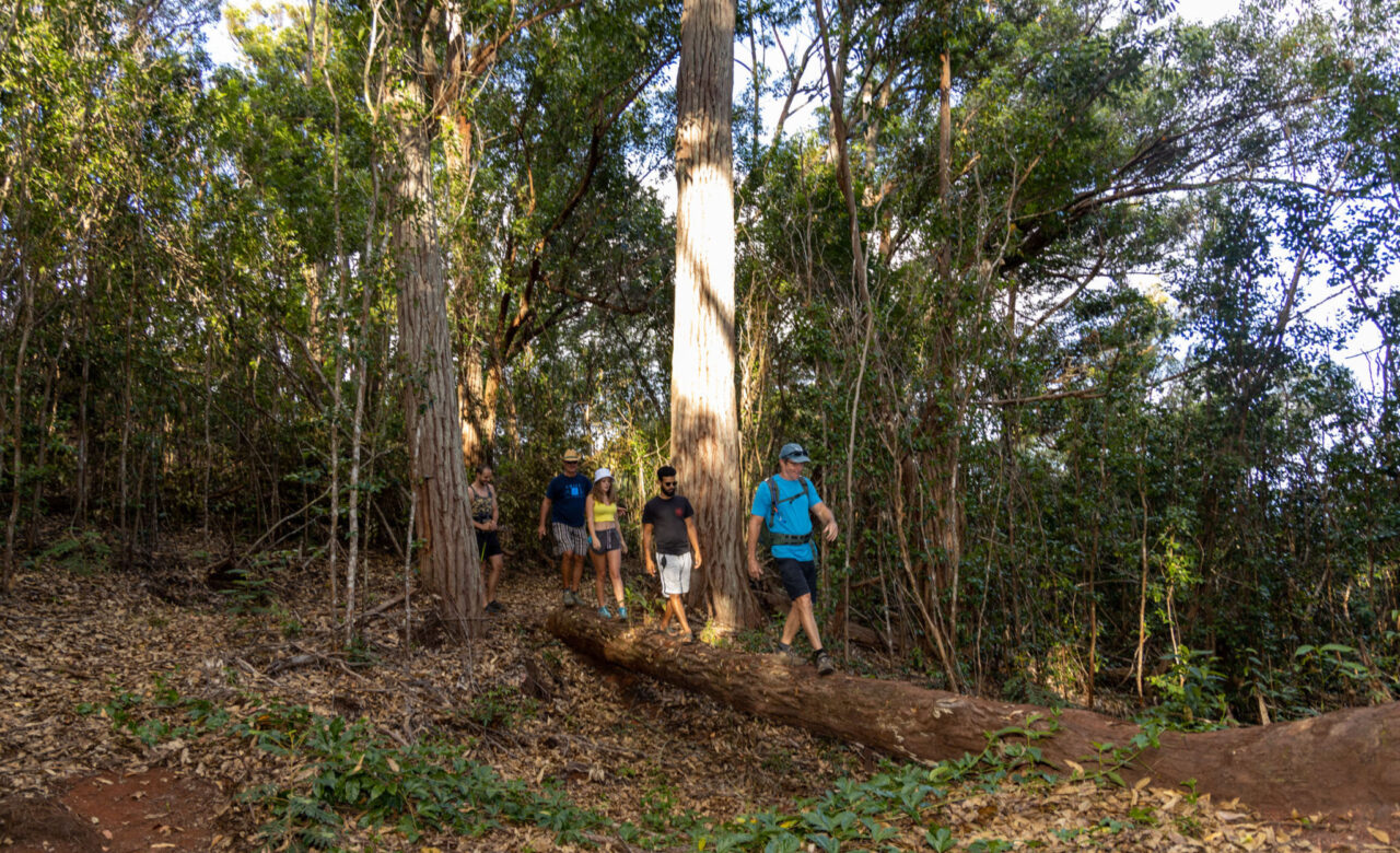 Oahu Hiking Tours