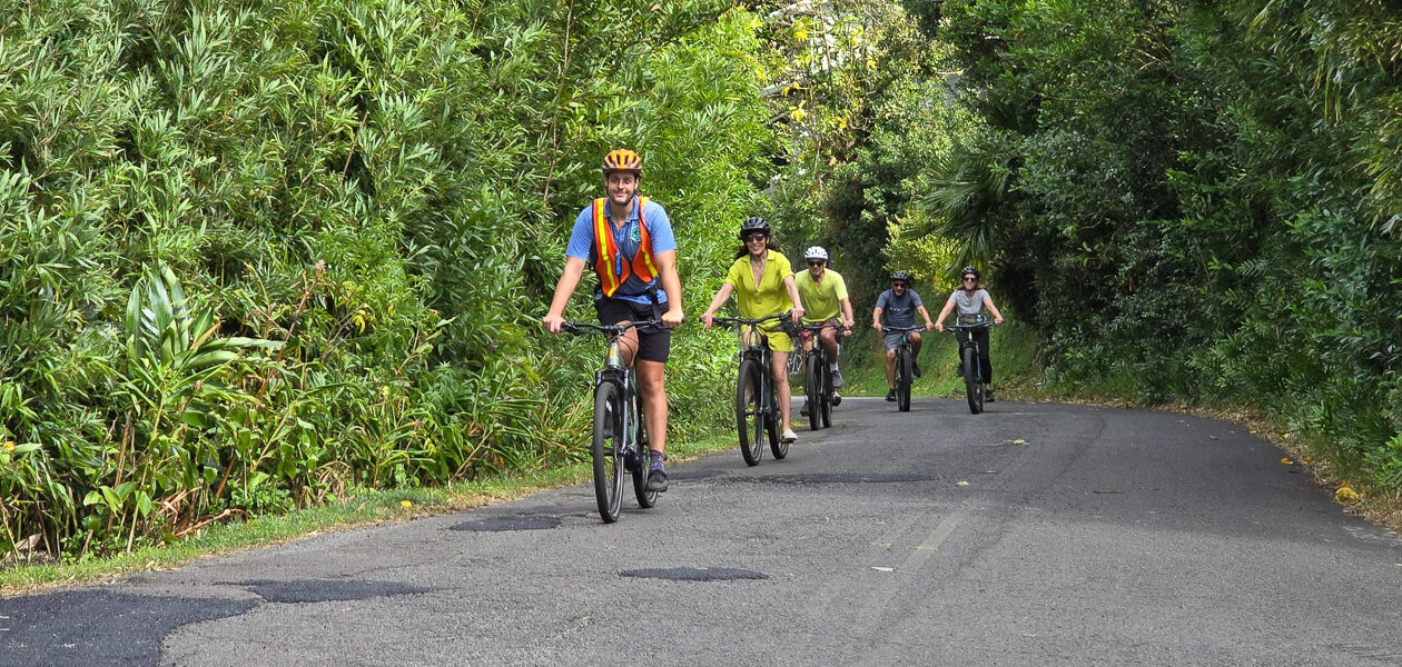 Oahu Bike Hawaii Tours