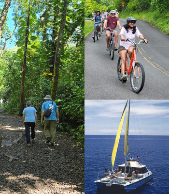 Rainforest-to-Reef Tour