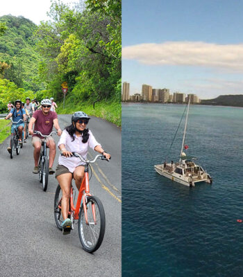 Rainforest-to-reef-Half-Day