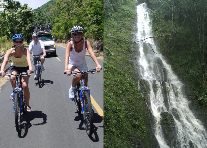Downhill Bike & Ko’olau Waterfall Hike
