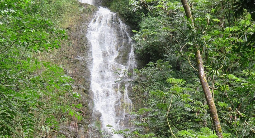 Hawaiian Waterfall Hike