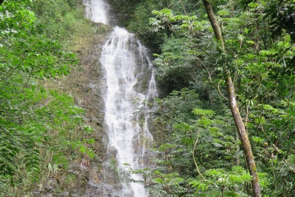Hawaii Waterfalls