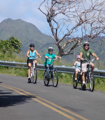 hawaii downhill bike 12